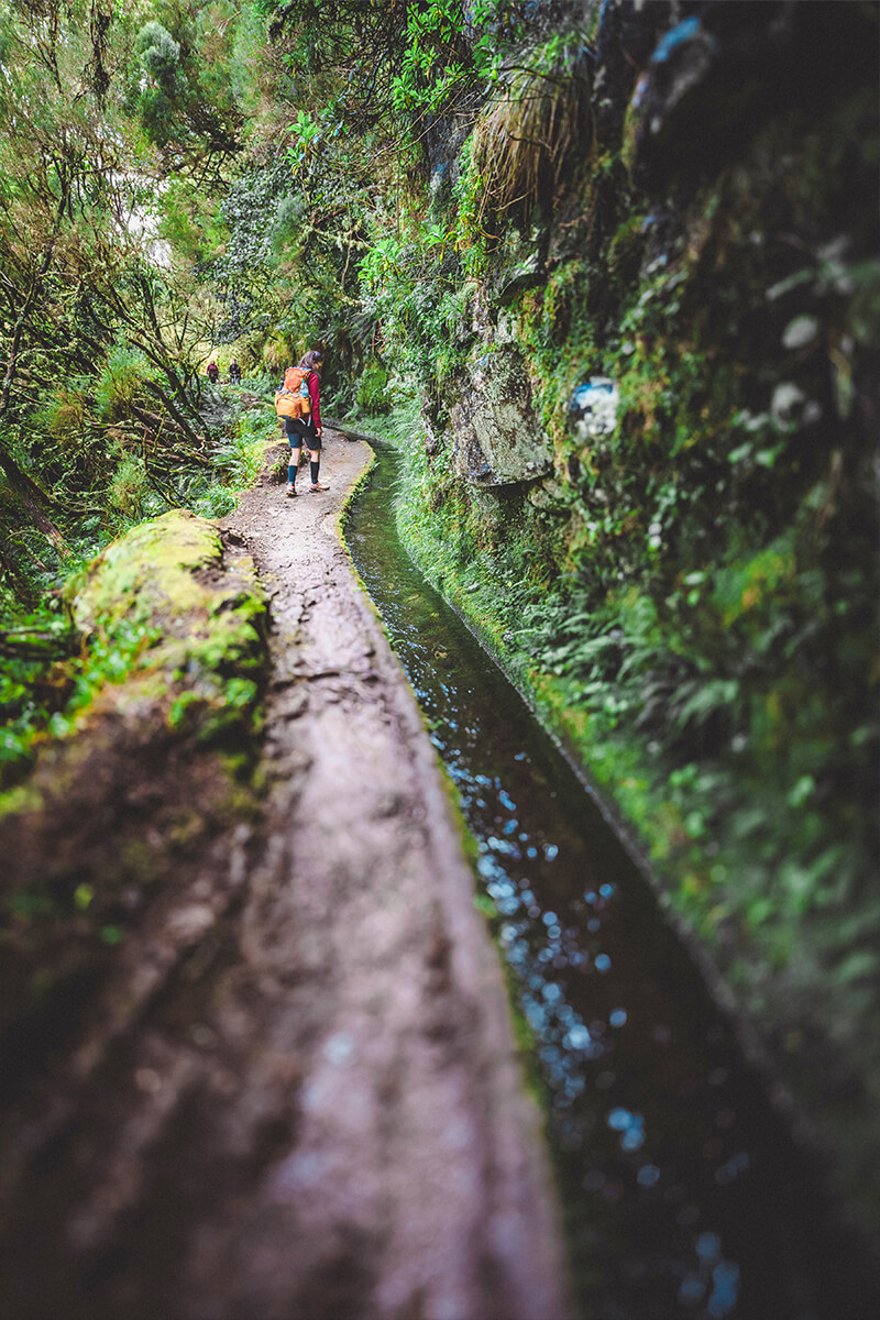 Wanderer auf Levada-Pfad in dichtem Grün – Outdoor- und Abenteuerfotografie auf Madeira